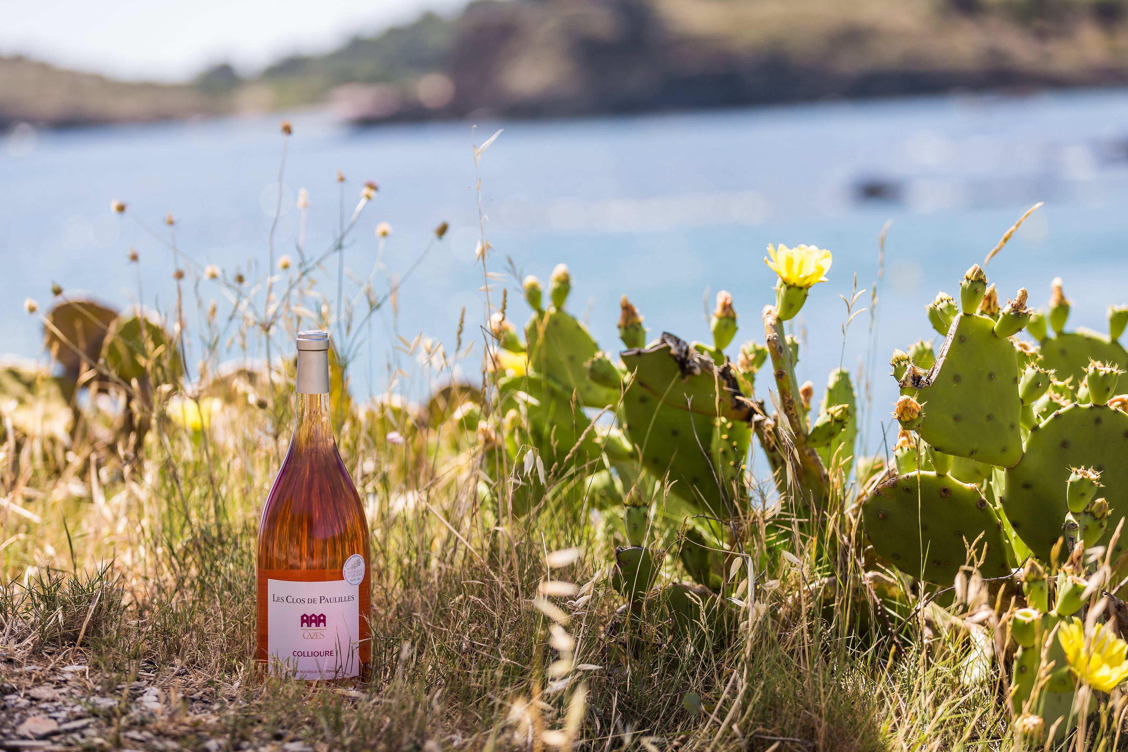 Les_Clos_de_Paulilles_00012-min